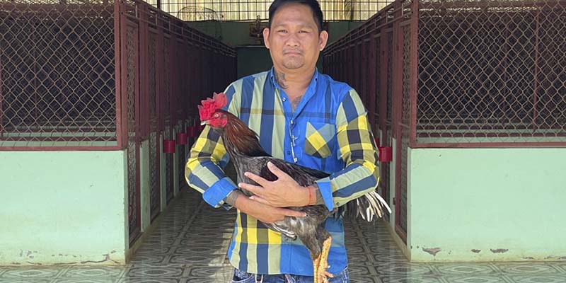 Bật Mí Trại Gà Mít Trà Cú Có Quy Mô Khủng Nhất Tại Miền Tây 2 Chủ nhân sở hữu trại gà vang danh nhất nhì khu vực miền Tây